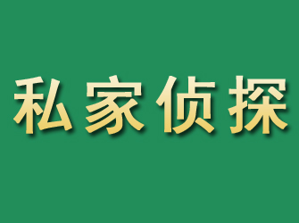 龙安市私家正规侦探